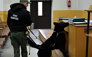 Psy strażników granicznych doskonaliły swoje umiejętności